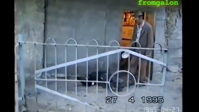 Галон 1995год