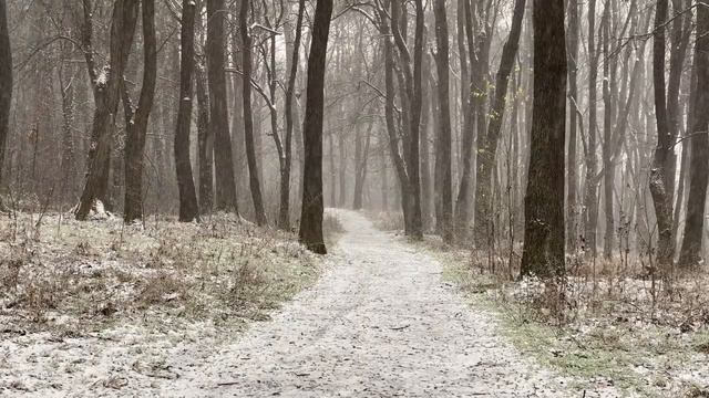 Релакс, Музыка для сна, Метель, Зима, Снег, Умиротворяющая Музыка, Снятие стресса, Засыпать.