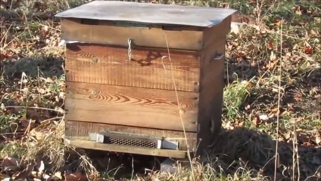 Итоги использования зелья для защиты ульев от влаги + рекламка по ульям. смотреть онлайн