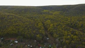 Гаврилова Поляна в Самарской области