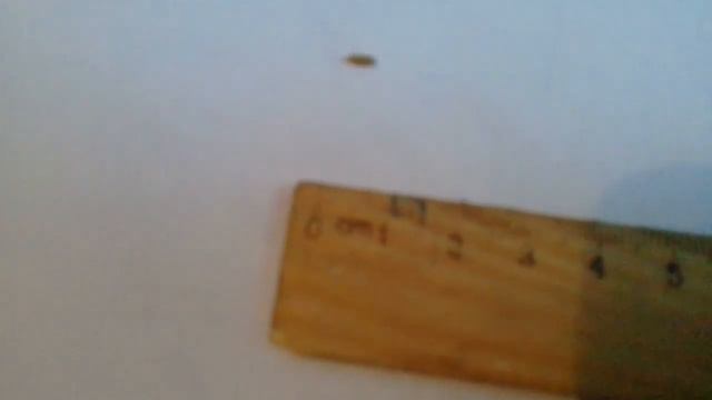 ВСЕМИ ЗАБЫТАЯ НАЖИВКА... смотреть онлайн