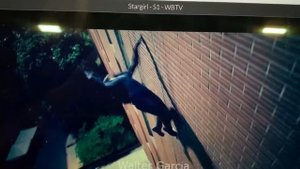 Stuntwomen React to Bad & Great Hollywood Stunts 3