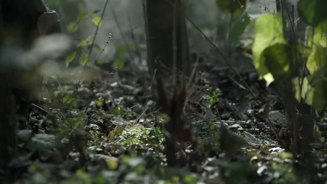 丈夫退伍歸來，妻子卻要跟他分手，還打掉他們的孩子