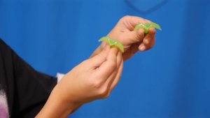 У Каждого СВОЯ СУПЕРСИЛА Папа в ШОКЕ ! Everyone has their own superpower DC kids toys