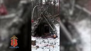 Ермаковский район: ловушки на кабаргу