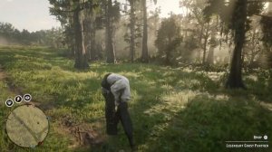 Red Dead Redemption 2: Legendary Ghost Panther