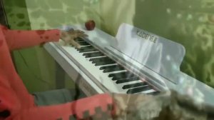 Death Note Opening 1 The World piano cover