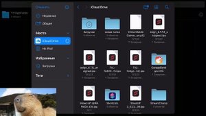 КАК ИМПОРТИРОВАТЬ СЕРТИФИКАТ В ЕСИГН ОБУЧЕНИЕ #Обучение #esign #сертефикат
