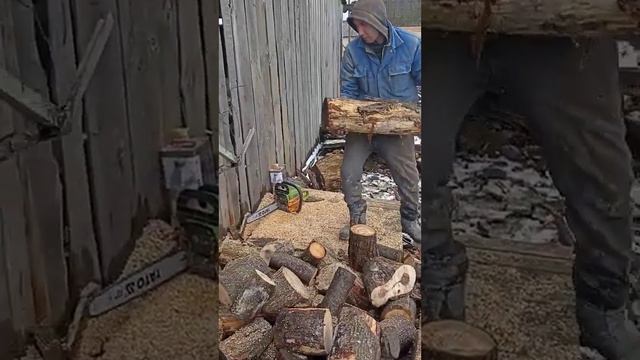 для пилки дров в одиночку смотреть онлайн