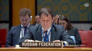 Выступление Дмитрия Полянского на Совбезе ООН.