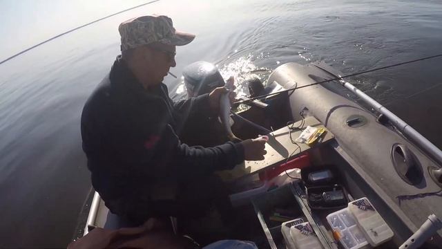 ЛОВЛЯ СУДАКА НА ОТВОДНОЙ!!! смотреть онлайн