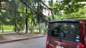 СМОТРИДОМ.РФ_____ Сочи, улица Цветной бульвар, дом 15, Центральный район. Каталог недвижимости.