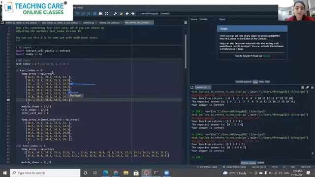 Python Coding Class by TEACHING CARE online classes