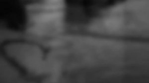 Если бы жизнь мою можно было заменить другой