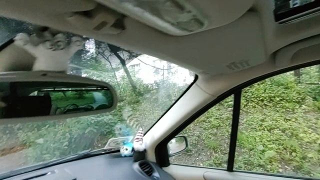 Illuminated sun visors Renault Scenic 2 смотреть онлайн