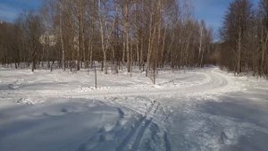 Битцевский парк - где мы живём.   #битцевскийпарк #прогулка #лес #зима