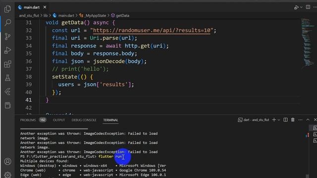 trying to load an image from another domain find answers at | flutter image error