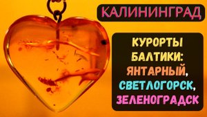 Экскурсия в Калининграде. Курорты Балтики, Янтарный, Светлогорск, Зеленоградск