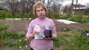 ПОСАДКА ЛИЛИЙ. ПРАВИЛЬНЫЙ ГРУНТ И УДОБРЕНИЯ ДЛЯ ОБИЛЬНОГО ЦВЕТЕНИЯ ЛИЛИЙ.