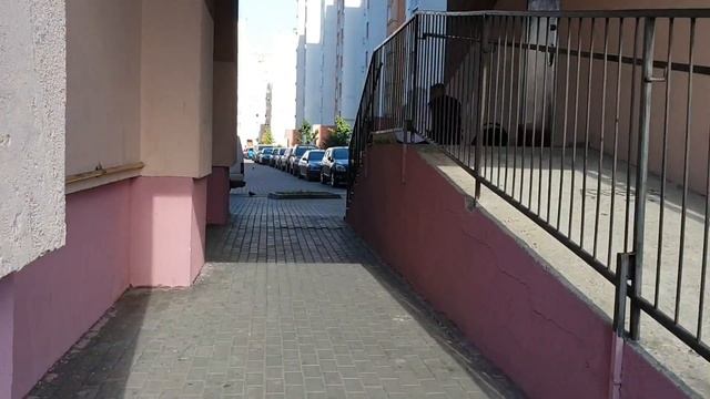 Калининград, район Летнее озеро/ лето 2020
