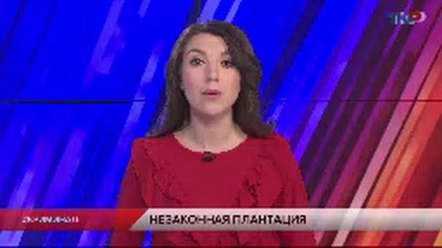 Эфир 2022 год. On the line фильм 2022. Эфир нижнекамск. Эфир 2022 год. Канал вести 24.