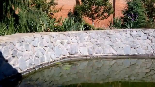 ПРУД С РЫБКАМИ . ЧТО НУЖНО ДЛЯ ЭТОГО ! (ФИЛЬТРА!) смотреть онлайн