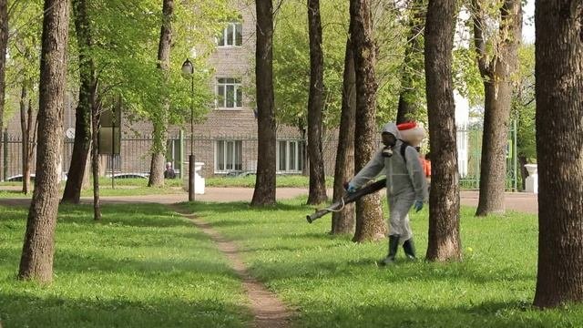 В Смоленске обрабатывают зоны отдыха от клещей.
