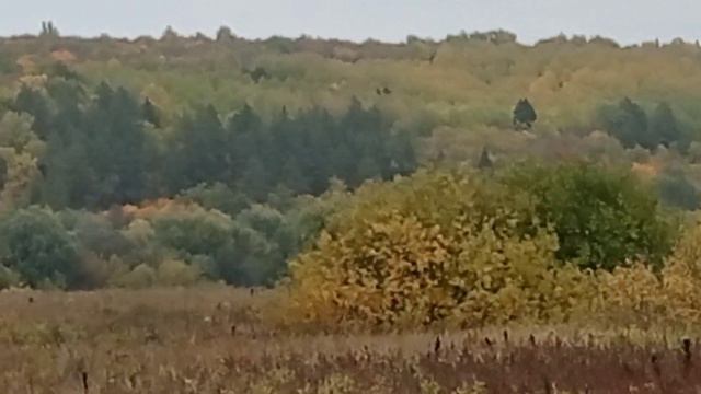 охота Аниш и цивиль смотреть онлайн