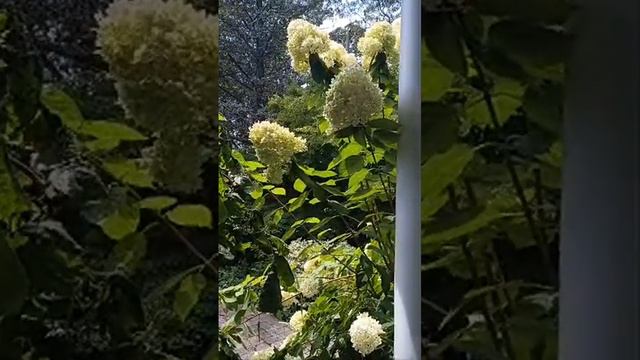 Лена Хеппи ушла с Ютуба. Что это было?