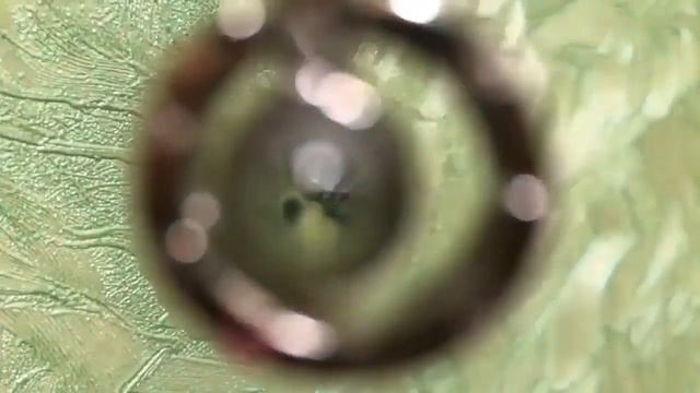 Купить женский кулон и получить качественный товар. Отзыв! Подарок на 14 февраля!