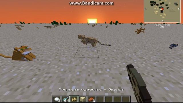 как приручить оцелота и волка смотреть онлайн