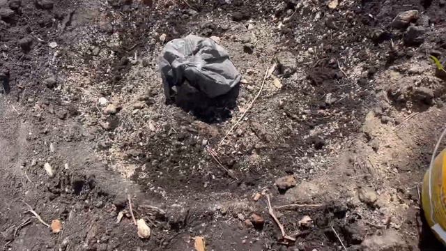 ПОСАДКА ГЛАДИОЛУСОВ!(11.05.23) смотреть онлайн