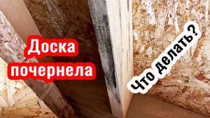 Доска почернела, что делать. Как и чем убрать черноту или синеву с досок