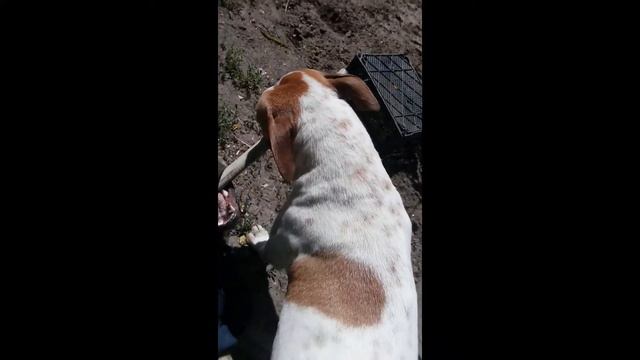 Sara 01 -Как мы нашли- =Мача= смотреть онлайн