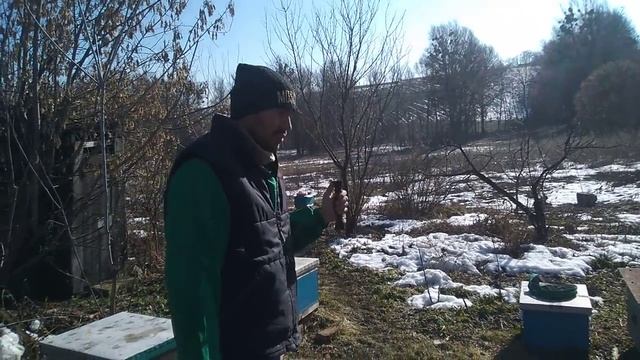 Первый весенний облет пчел. Утепляем улья весной. Подмор пчел. Чистка доньев пос смотреть онлайн