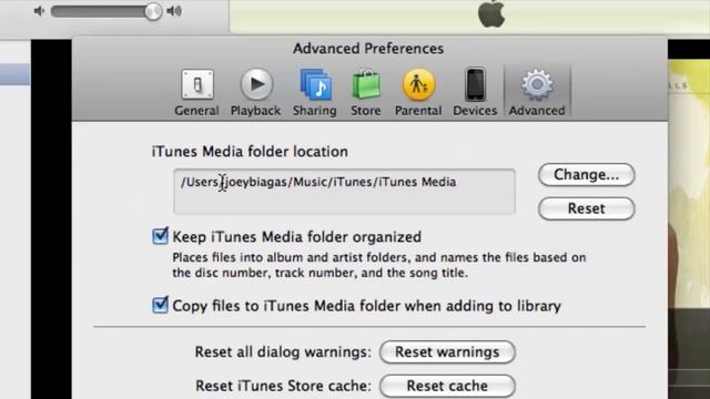 Where Is iTunes Data Stored? : Using iTunes смотреть онлайн
