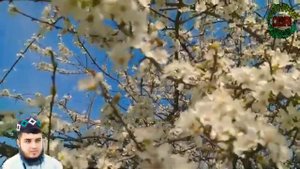 Кори амирхамза Газал Мардони худо