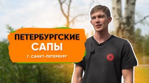 Благодаря акциям Биглион мы получаем дополнительный трафик | Петербургские сапы в Санкт Петербурге