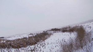Охота на зайца 2019.ТРОПЛЕНИЕ по СНЕГУ с ТОЗ 34.Закрытие сезона 1:1Hunting a hare..