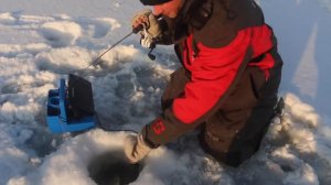 Ice Fishing Crappies CATCH AND COOK!