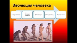 Как появился человек? Теория эволюции или? Ученые выяснили новые подробности.