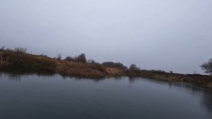 Свимбейты в ноябре.