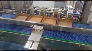 Автоматическая Линия по  формированию лотков, группировка  и Робот укладчик консервов на лотки