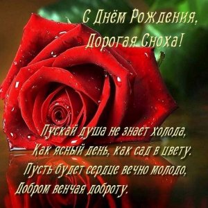 Слайд-шоу: С Днём Рождения, Дорогая Сноха!