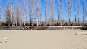 Training at home