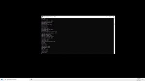 MS-DOS on Windows 10