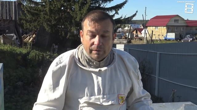 КОМПЛЕКС ОСЕННИХ РАБОТ НА ПАСЕКЕ. ОБРАБОТКА ОТ КЛЕЩА ВАРРОА ЛЮБИТЕЛЬСКОЕ ПЧЕЛОВОДСТВО ДЛЯ НАЧИНАЮЩИ смотреть онлайн