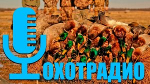 ОХОТРАДИО - Эфир 29-08-24