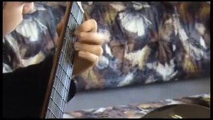 Russian seven-stringed guitar. Processing guitarist M.Vysotskij