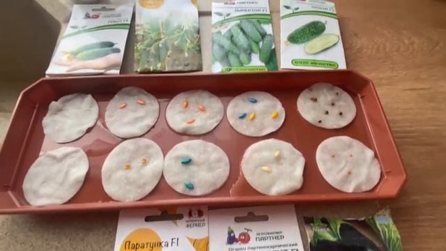 Строительство каркасного дома . Снег, метель , дела тепличные . смотреть онлайн